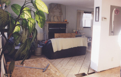 Fireplace with stone, floor gone.
