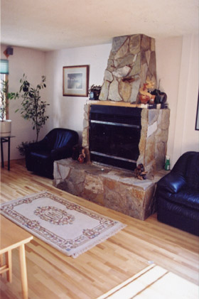 The fireplace.